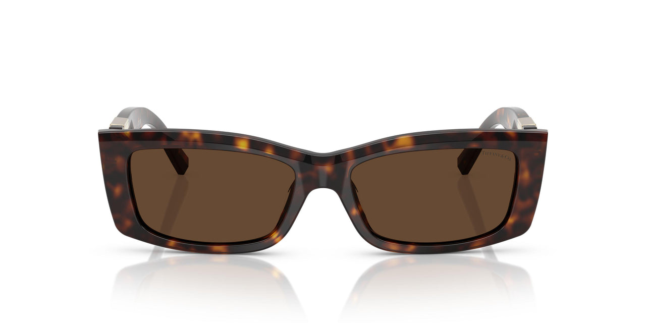 80153G - Tortoise - Light Brown