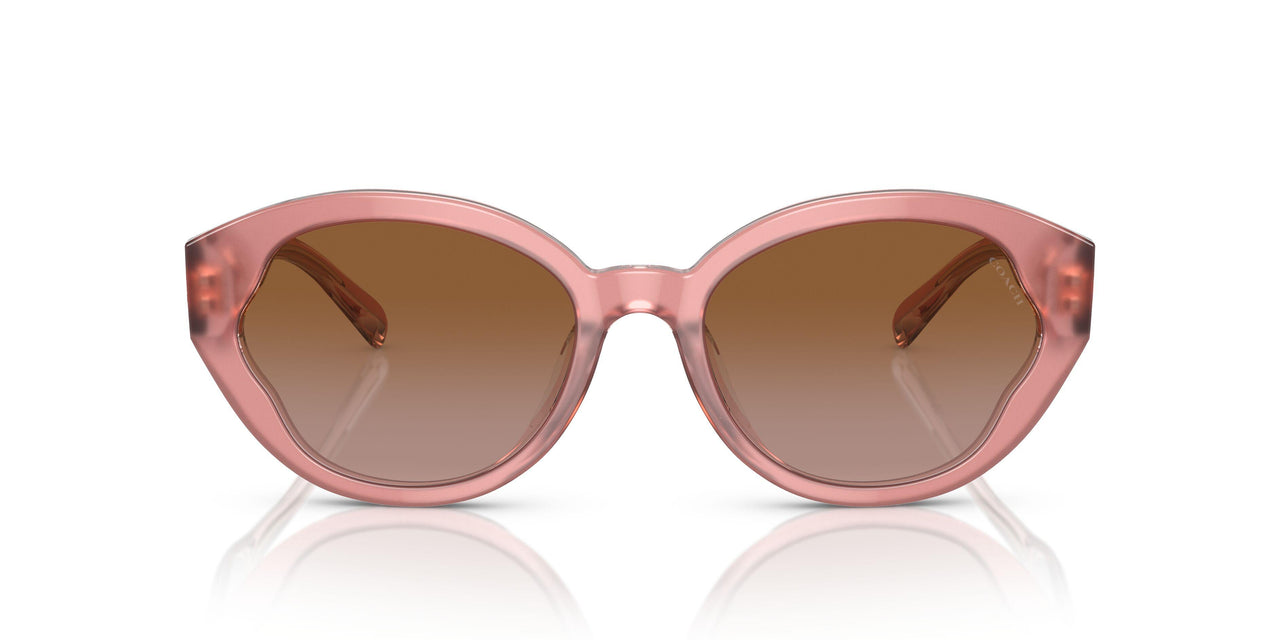 574313 - Pink - Brown Gradient