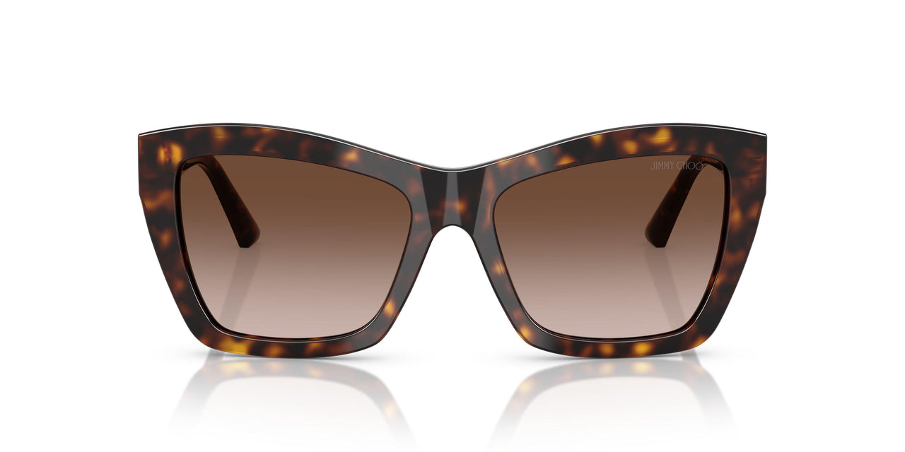 500213 - Tortoise - Gradient Brown