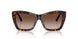 500213 - Tortoise - Gradient Brown