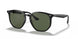 601/71 - Black - Green