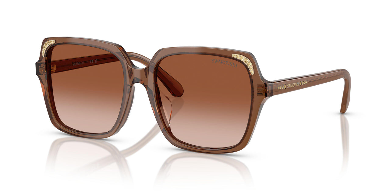106713 - Brown - Gradient Brown