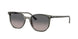 Ray-Ban Elliot 2197F Sunglasses