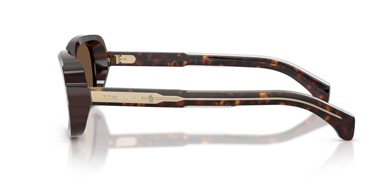 300273 - Tortoise - Brown Solid