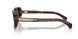 300273 - Tortoise - Brown Solid