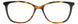 BKT - Black/Tortoise