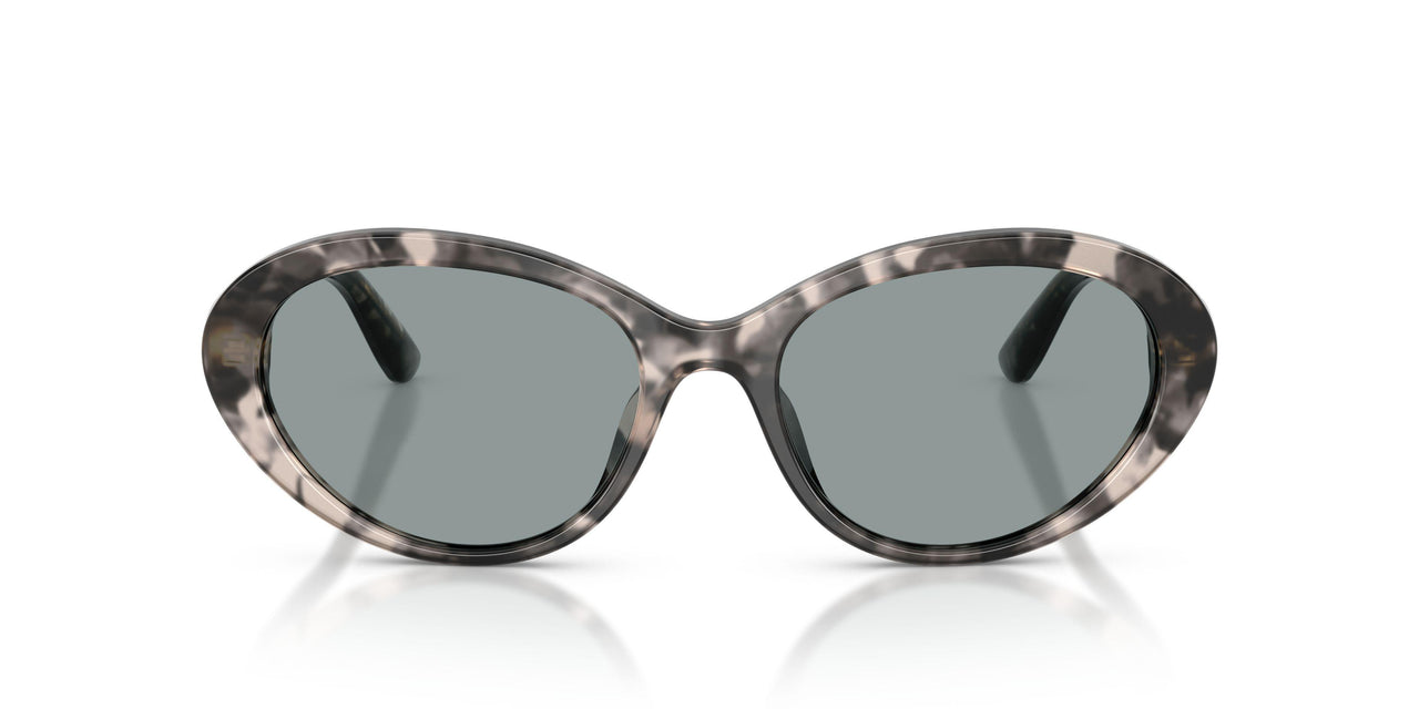3172/1 - Tortoise - Light Grey