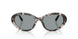 3172/1 - Tortoise - Light Grey