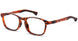 16 - INDESTRUCTIBLE POWER UP 3.0 CARETTA TURTLE BROWN