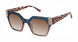 Ted Baker TWS319 Sunglasses