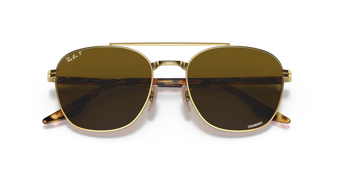 001/AN - Gold - Polar Brown