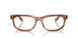 8399 - Tortoise - Clear