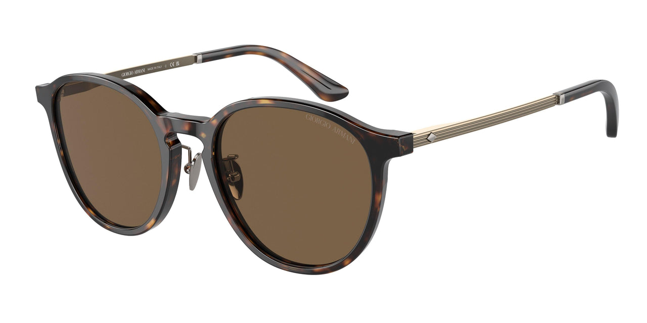 Giorgio Armani 8196F Sunglasses