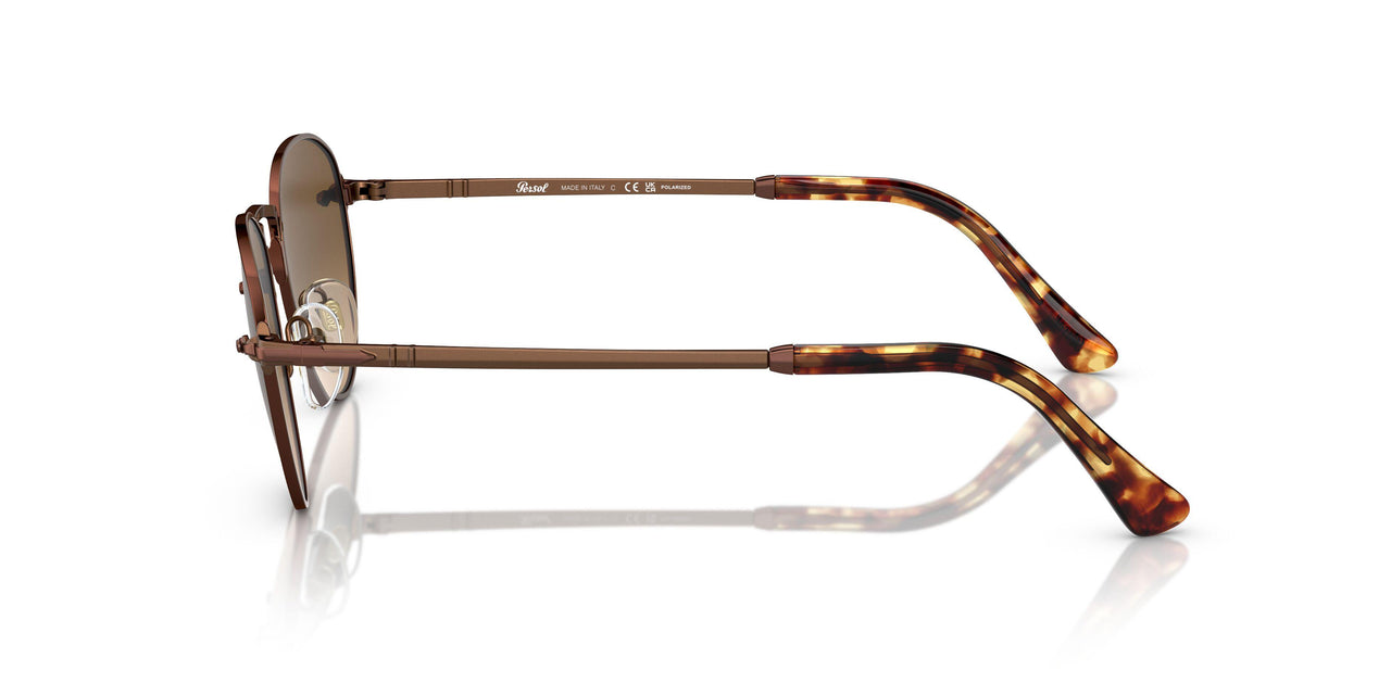 1123M2 - Brown - Polar Brown Gradient