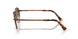 1123M2 - Brown - Polar Brown Gradient