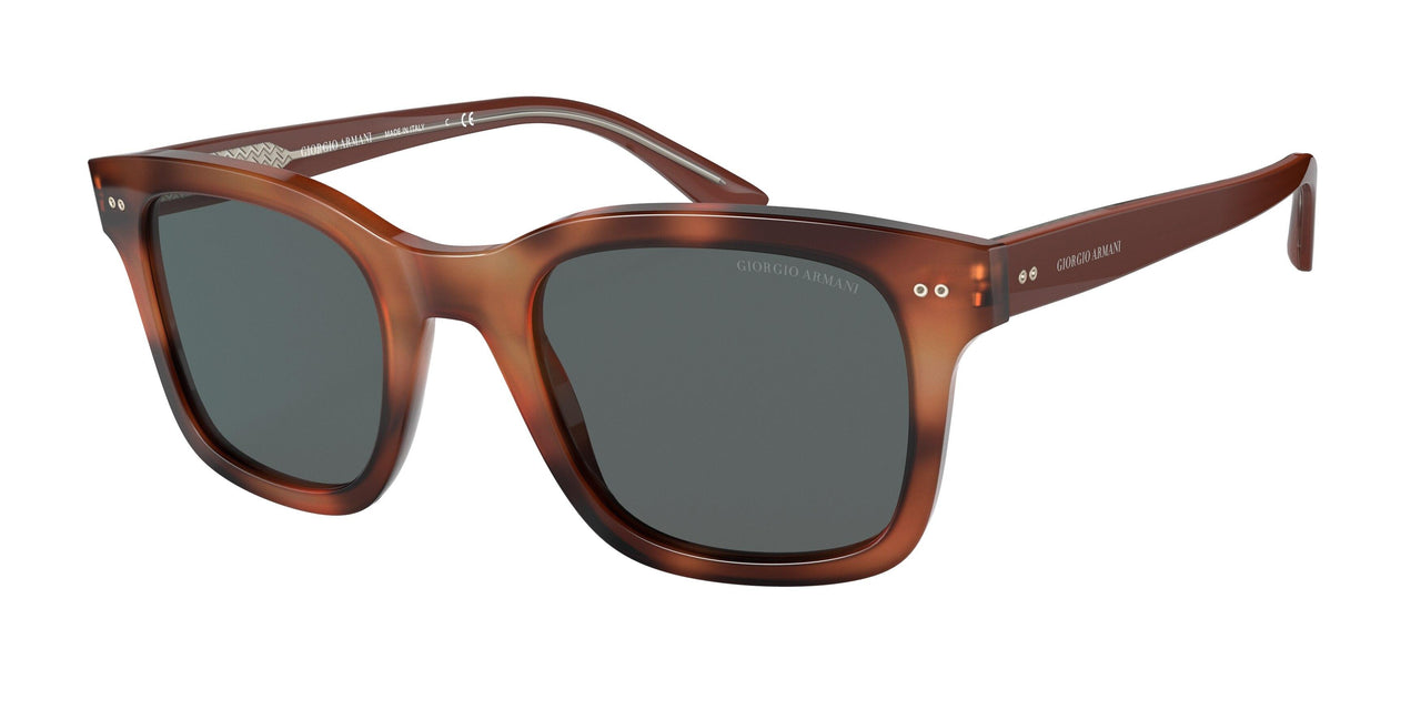 Giorgio Armani 8138 Sunglasses