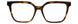 LRP - Lotus Montage Roasted Pecan [L
