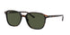 Ray-Ban Leonard 2193F Sunglasses