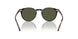 174152 - Tortoise - G-15