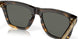 201504 - Tortoise - Gray