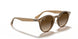 616613 - brown gradient - Brown Gradient