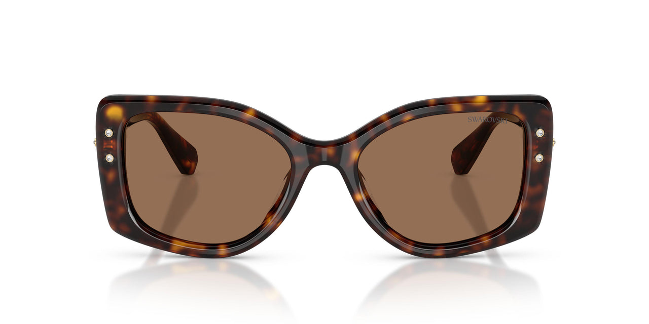100273 - Tortoise - Dark Brown
