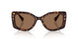 100273 - Tortoise - Dark Brown
