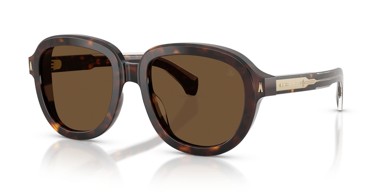 300273 - Tortoise - Brown Solid