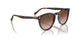 W65613 - Brown - Gradient Brown