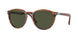115731 - Brown - Green