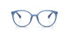 6040 - Blue