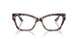 3150 - Tortoise