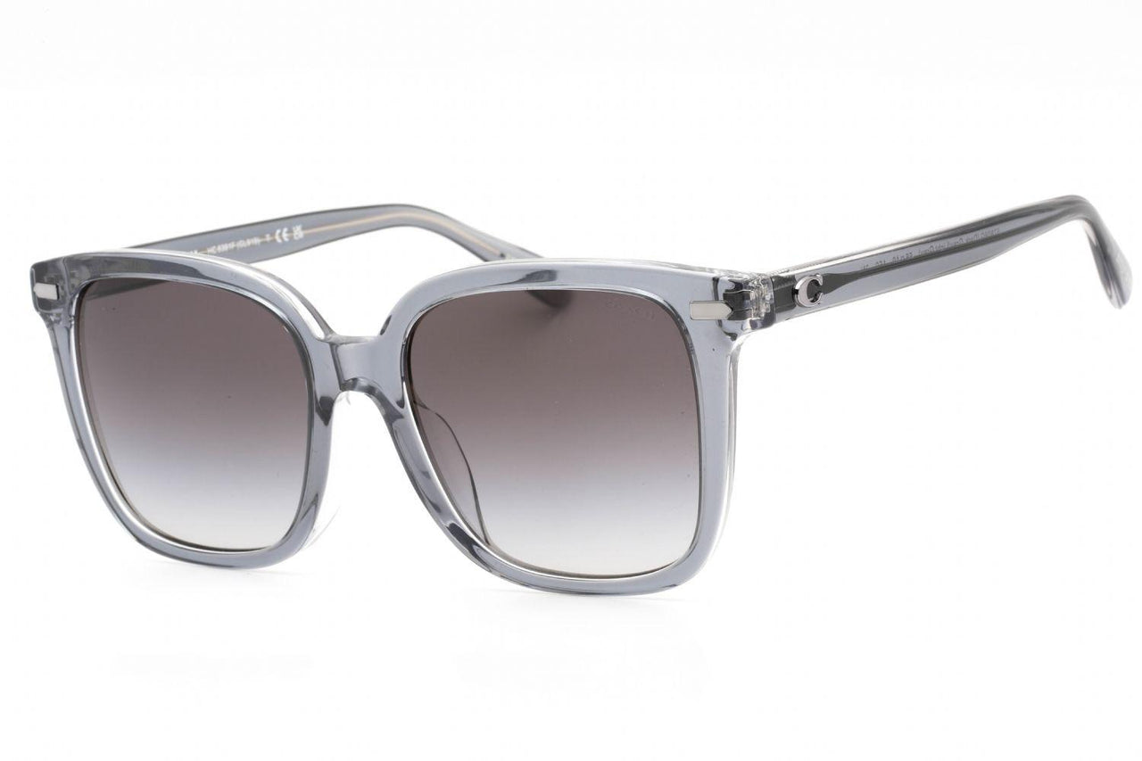 Coach 0HC8381F Sunglasses