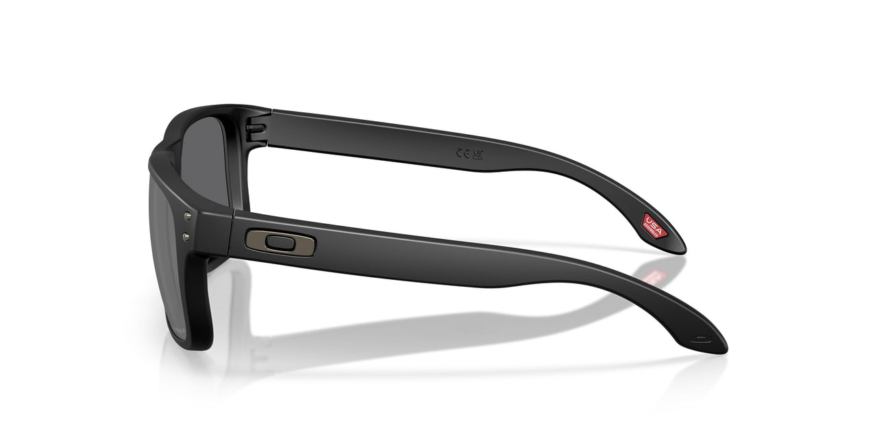 950901 - Black - Prizm Black Polarized