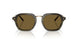 616873 - Green - Dark Brown