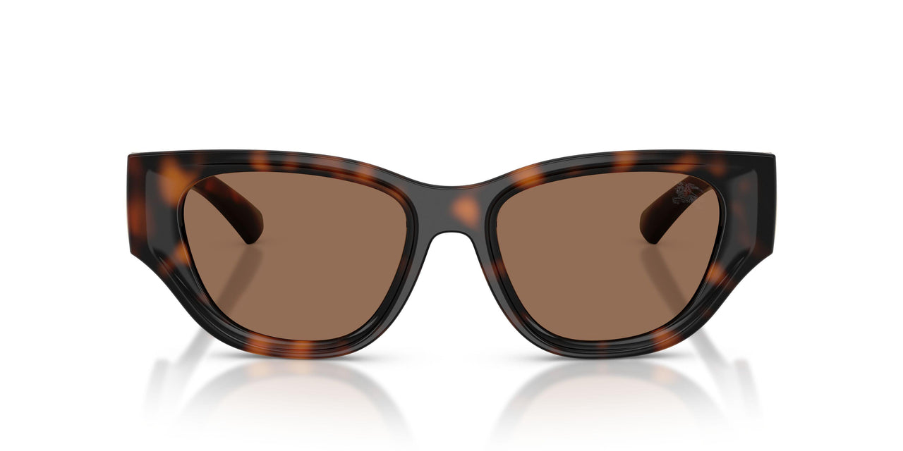 300273 - Brown - Dark Brown
