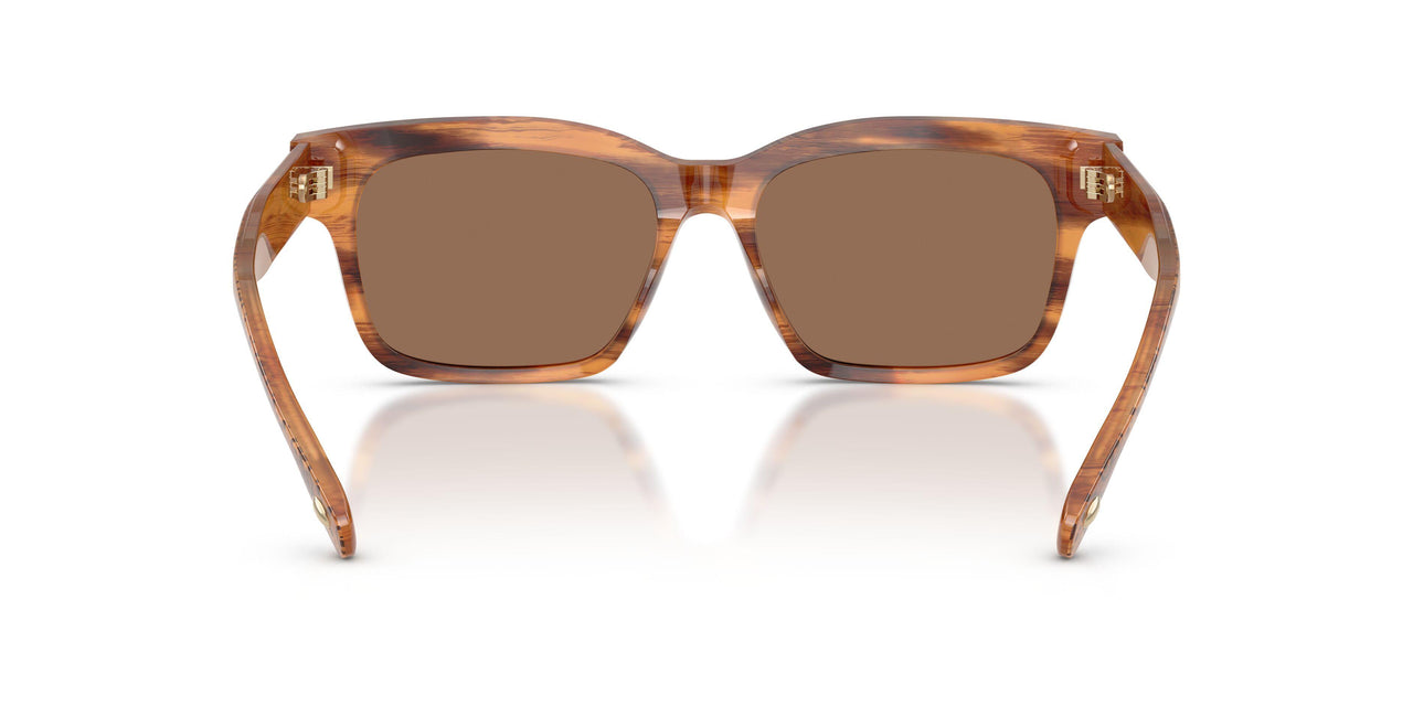 192573 - Tortoise - Dark Brown