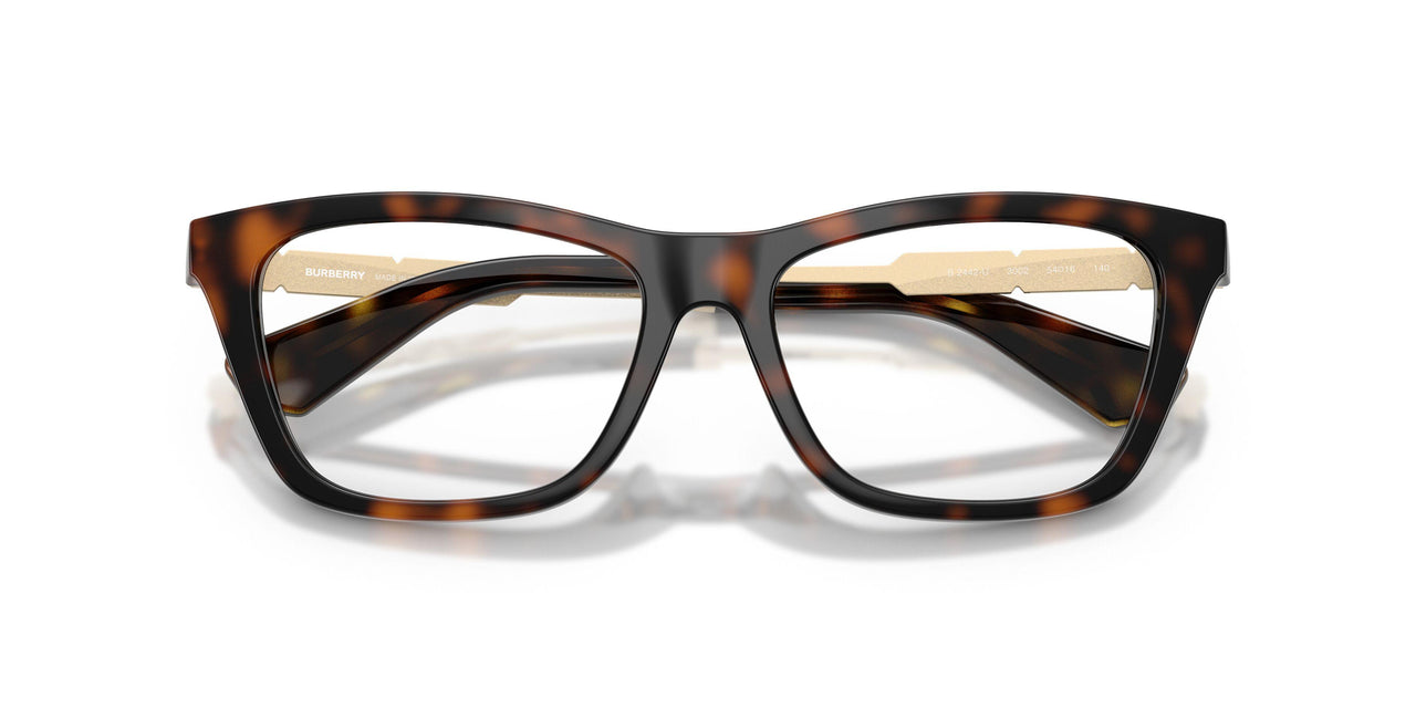 3002 - Brown