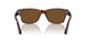24/57 - Havana - Polar Brown