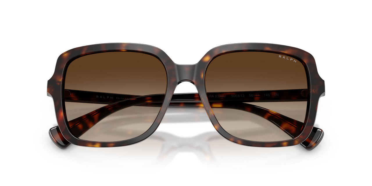 500313 - Tortoise - Brown Gradient