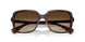 500313 - Tortoise - Brown Gradient