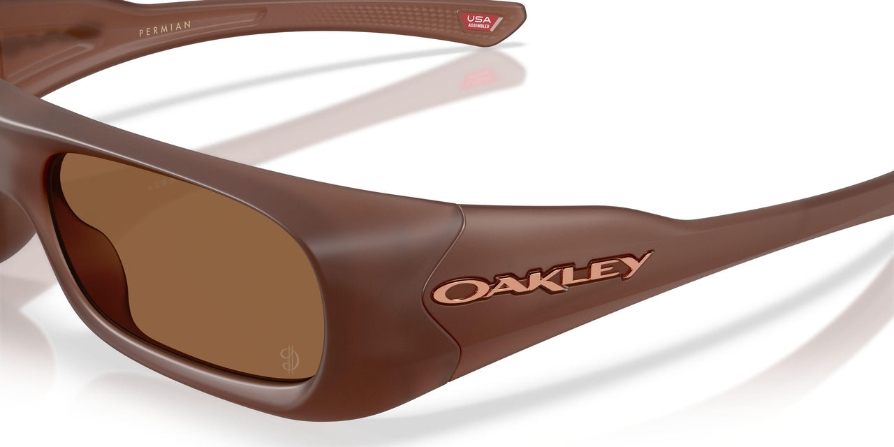 952010 - Brown - Prizm Bronze Gradient