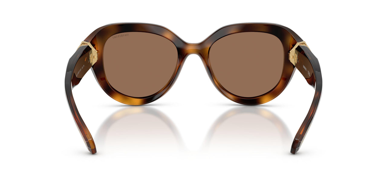 100273 - Tortoise - Dark Brown