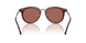 6466H2 - Red - Brown