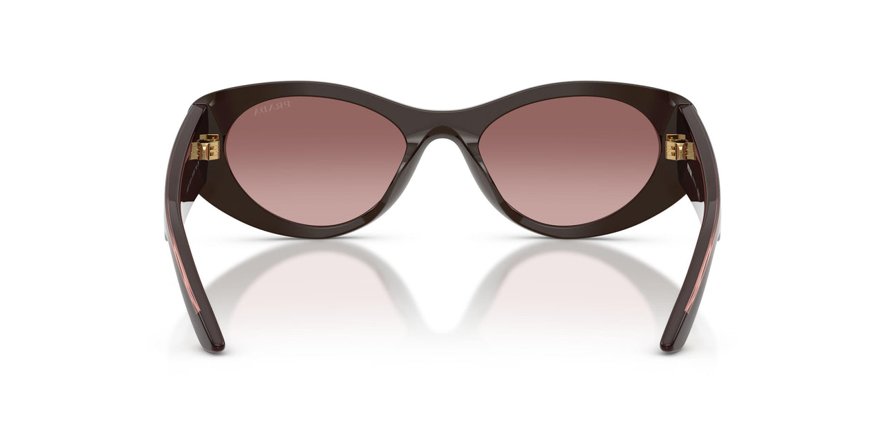 27I51B - Brown - Brown Gradient Violet