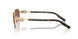 02/73 - Gold - Dark Brown