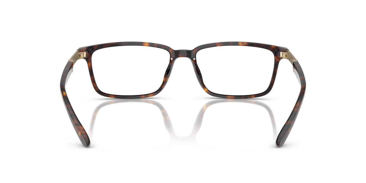 6161 - Tortoise