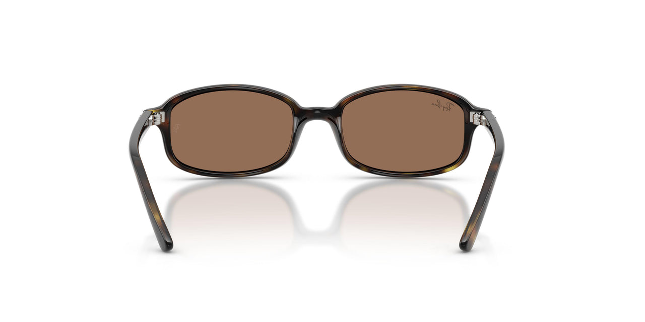152/73 - Tortoise - Dark Brown