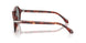 623402 - Tortoise - Blue