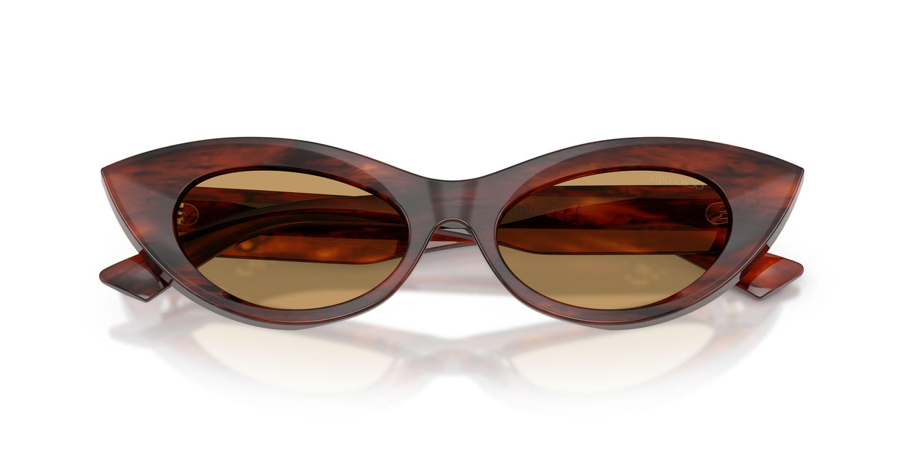 511273 - Tortoise - Brown